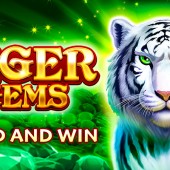 Tiger Gems