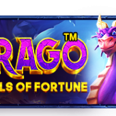 드래고– 보석포천™