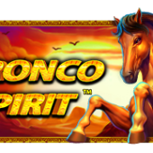 브론코 스피릿™