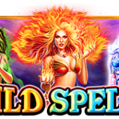 와일드 스펠스™