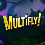 Multifly!