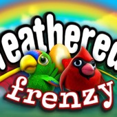 Feathered Frenzy