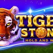 TIGER STONE