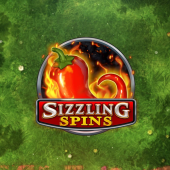 Sizzling Spins